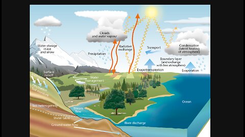 The Water Cycle