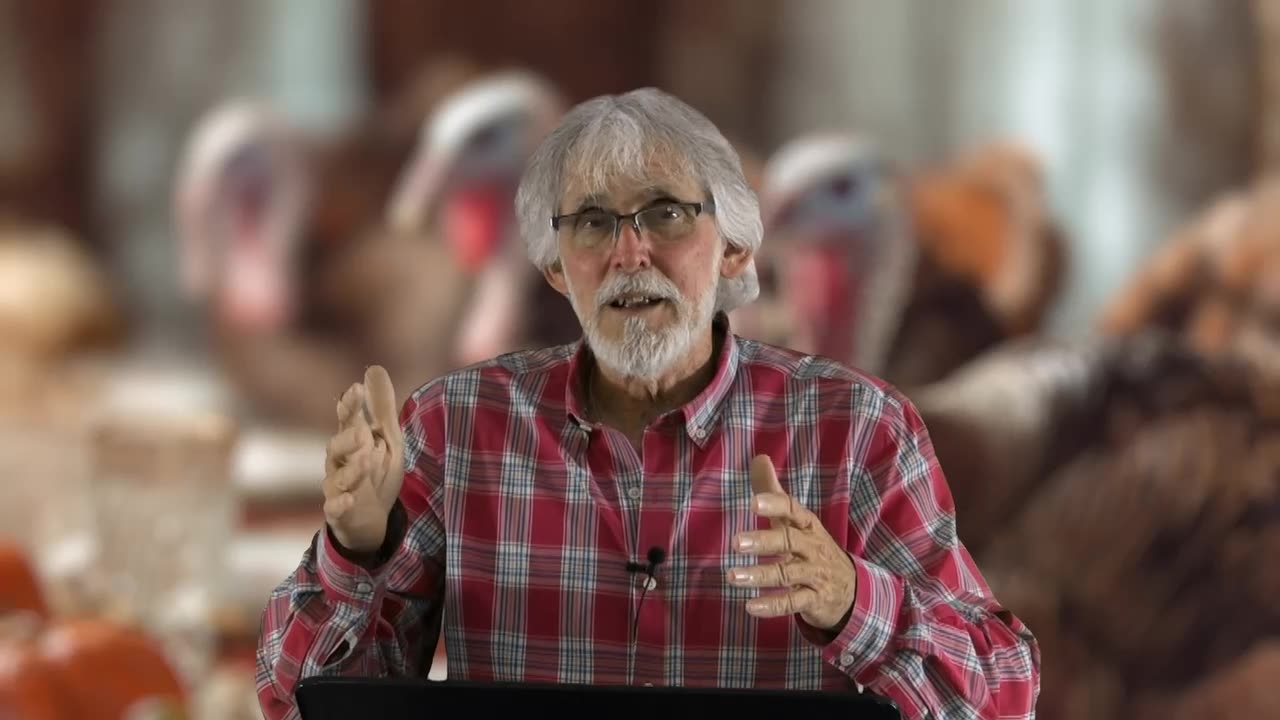 Thanksgiving is NOT for Turkeys (s1e2) - The Unspoken Blessing of Home: A Thanksgiving Reflection