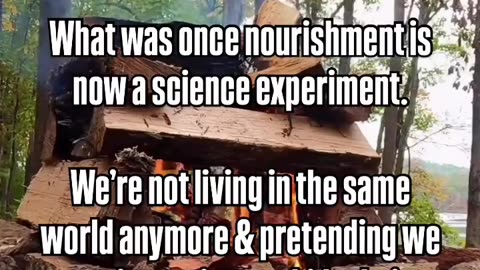 “I ate that as a kid and I turned out fine.” 🤔
