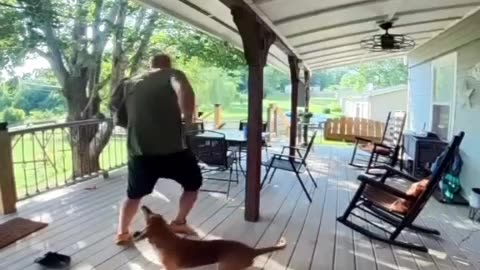 when Squirrels attack