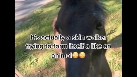 😨👀 Sooo, Explain This! | TheHauntingHour