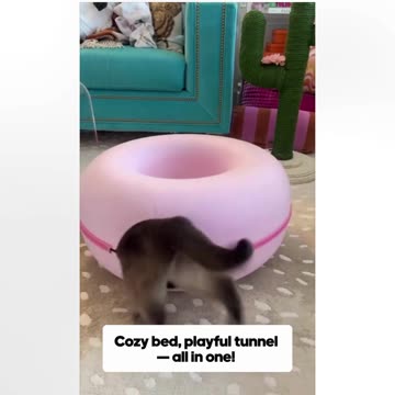 Ever thought about earning from products you already love? 🐾