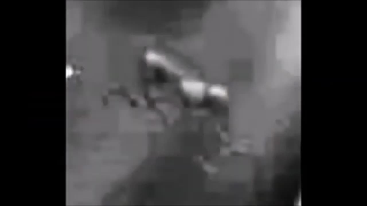 Bigfoot footage from 2006 is possibly the clearest ever recorded