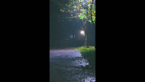 Soft Signal – a whisper turned to rhythm.