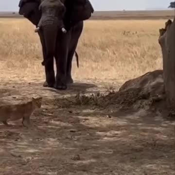 Hi there. This is your wake up call service 😂