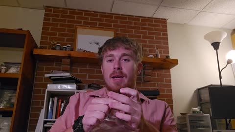 Lion Diet Sleep Optimization： Day 2