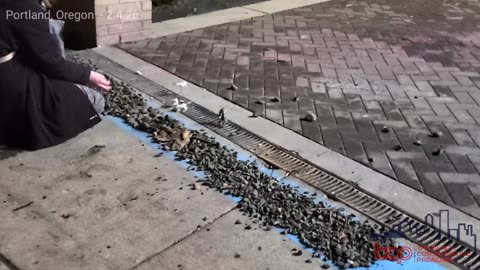 Are You Going To Get The Whole Driveway At Portland, Oregon ICE?