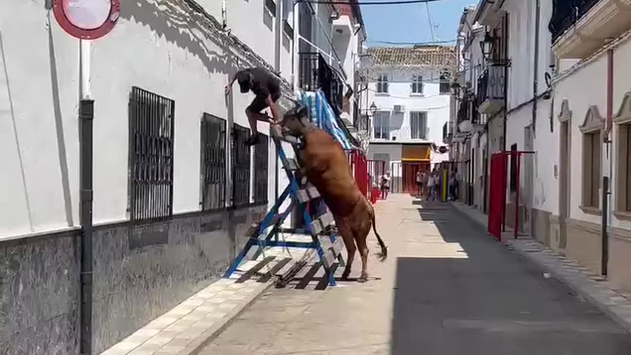Funny
