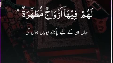 Allah hu akber 🕊️🙏🙏🙏