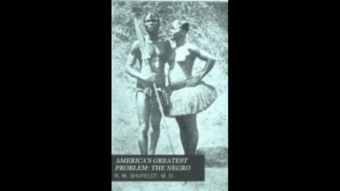 Americas Greatest Problem: the Negro by R.W. Shufeldt. Chapter 11 part 1.