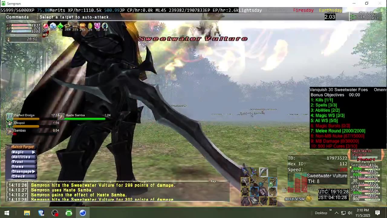 Playing Final Fantasy XI Online