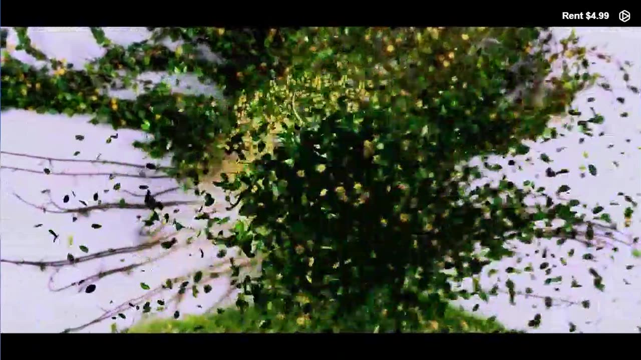 Climate Trails | Documentary Preview