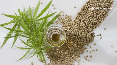 Ivitasana-Anmeldelser og Meninger – Ivitasana-Oplevelser fra Brugere