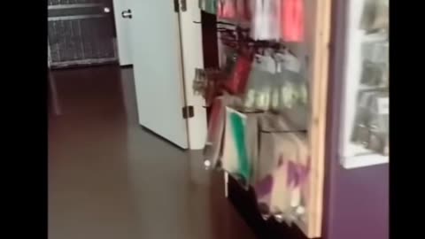 😈💀 The Scariest Demon Possession Video Ever Recorded! | TheHauntingHour