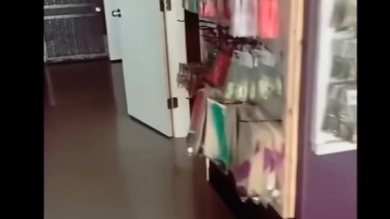 😈💀 The Scariest Demon Possession Video Ever Recorded! | TheHauntingHour