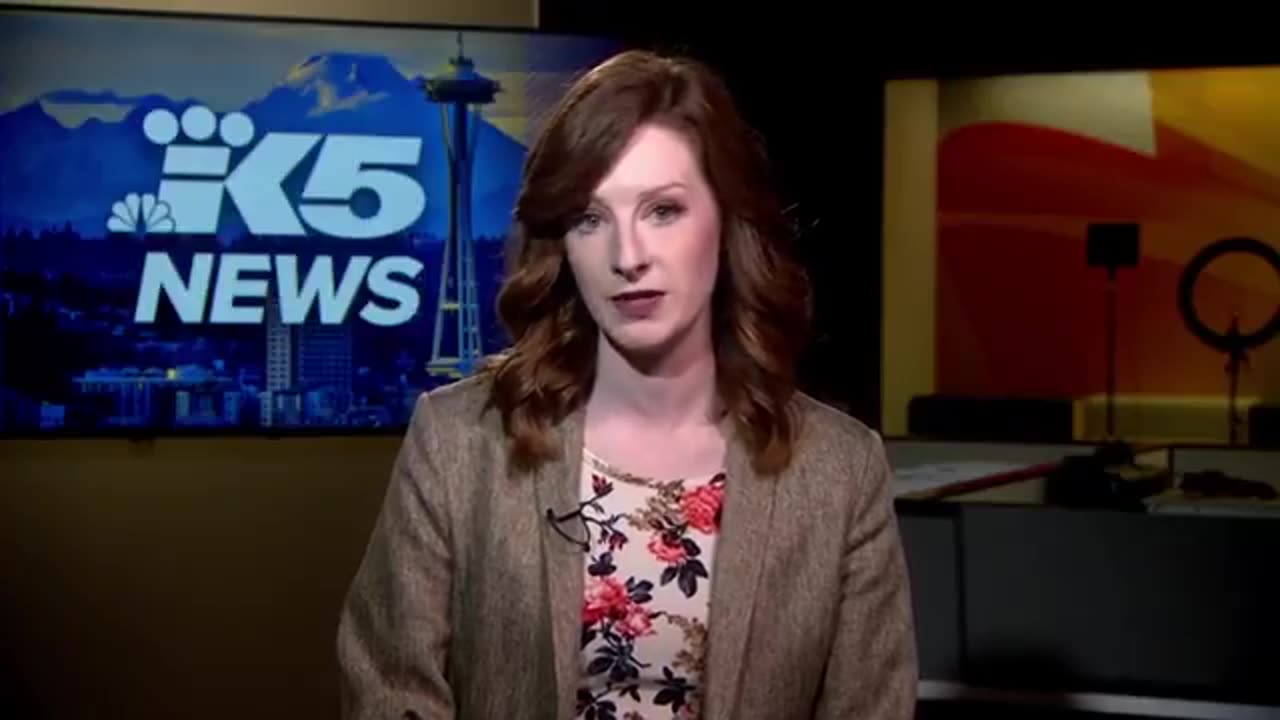 A Seattle jury acquitted Mexican ILLEGAL ALIEN after ramming vehicle into ICE Agents