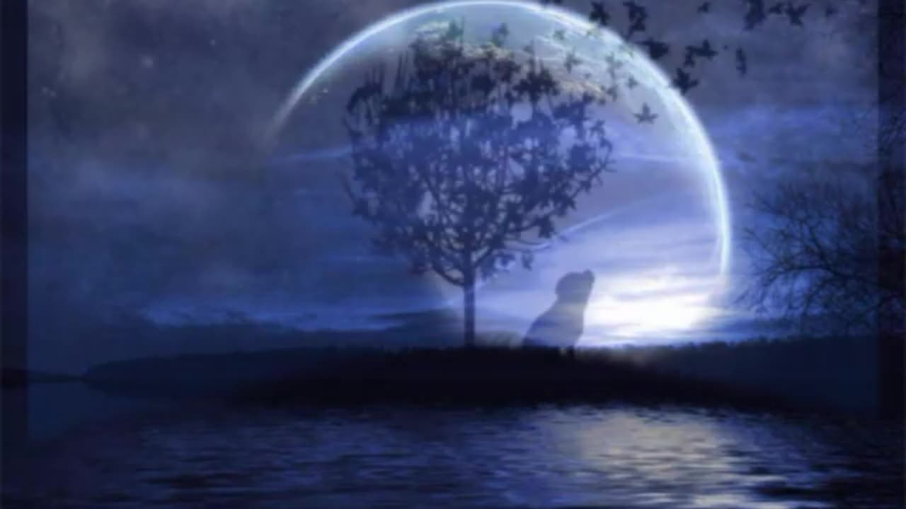 EDOARDO BENNATO---LA LUNA