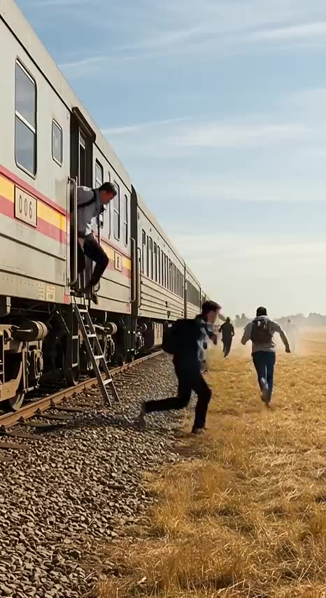 Brave Golden Retriever Saves Dozens of Lives