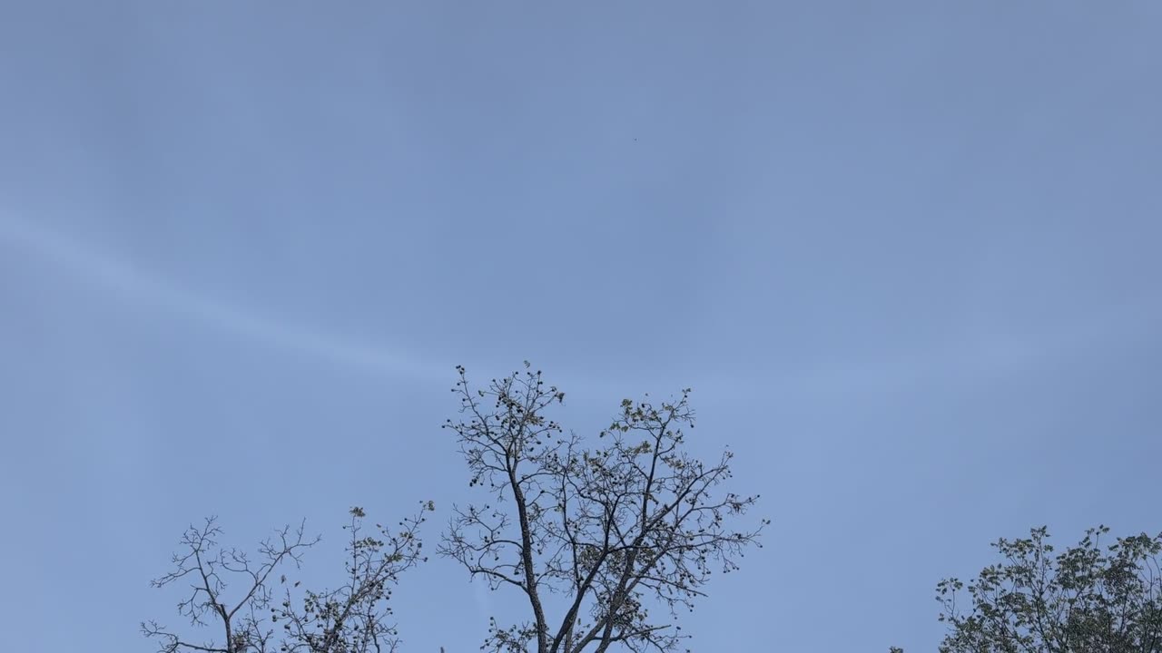 🌌🔥 Mind Blown! I've Never Seen A Full Sky Halo Like This Before! | FeedMyCuriosity
