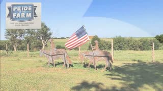 Trent Loos in the Morning - 11/14/2025