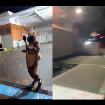 Portland Squirrel 🐿️steps over the ICE facility line and does the RayGun pose 😎🤔🫡🔥🤣