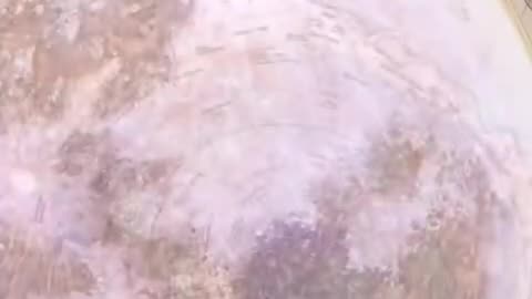 The Mirror Moon