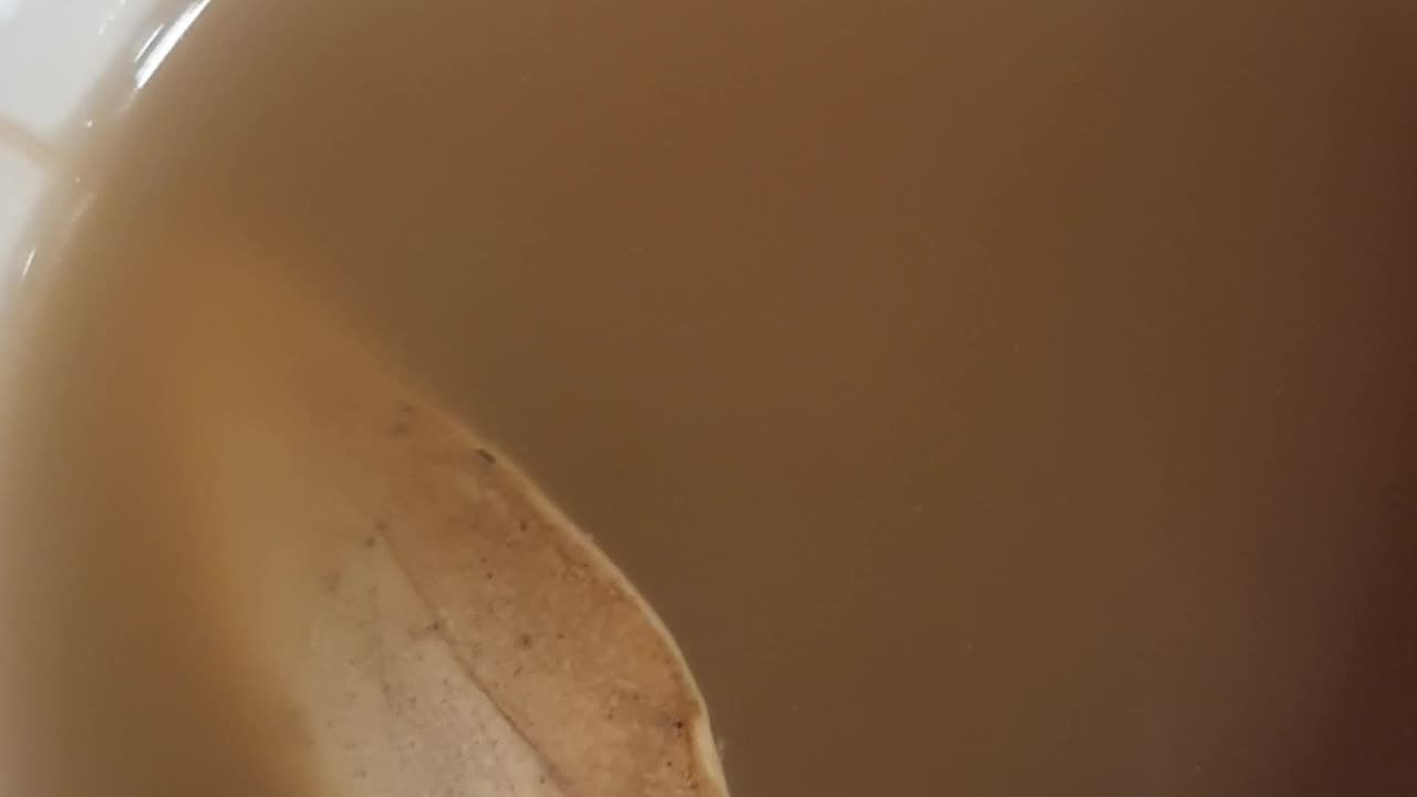 Birch Polypore Mushroom in Coffee