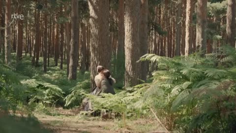 Valle salvaje capitulo 296 parte 1