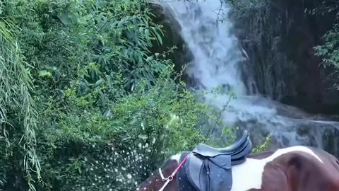 Take you to see the waterfall _horse _horseriding _taotaoaima _doris