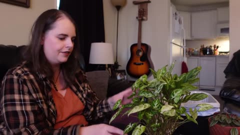 Vlogmas Day 14 ~ Repotting my Indoor Plants + Taking Stem Cuttings (Houseplant Gardening Vlog!)