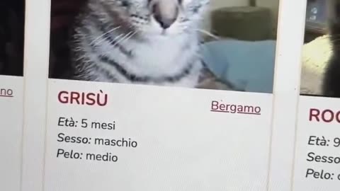 😂🏠 This Guy's Story Will Melt Your Heart! | FunFM