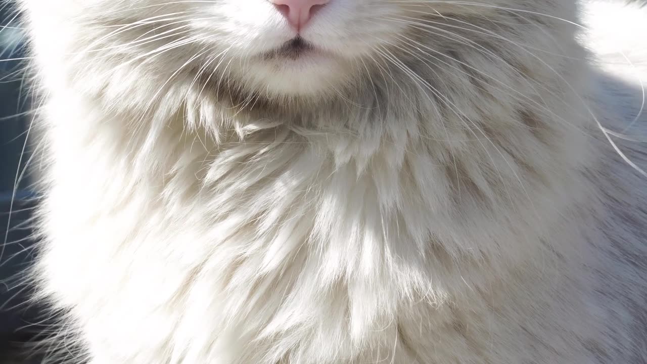 Her peaceful sit makes her look extra cute and beautiful.