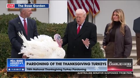 POTUS PARDONS TURKEYS