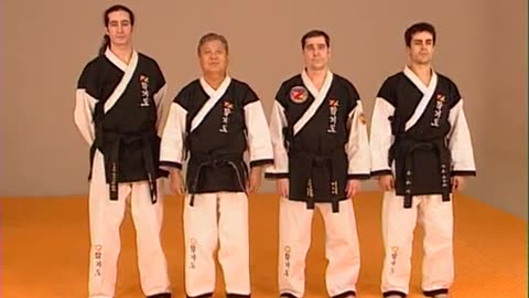 The World Hapkido Federation