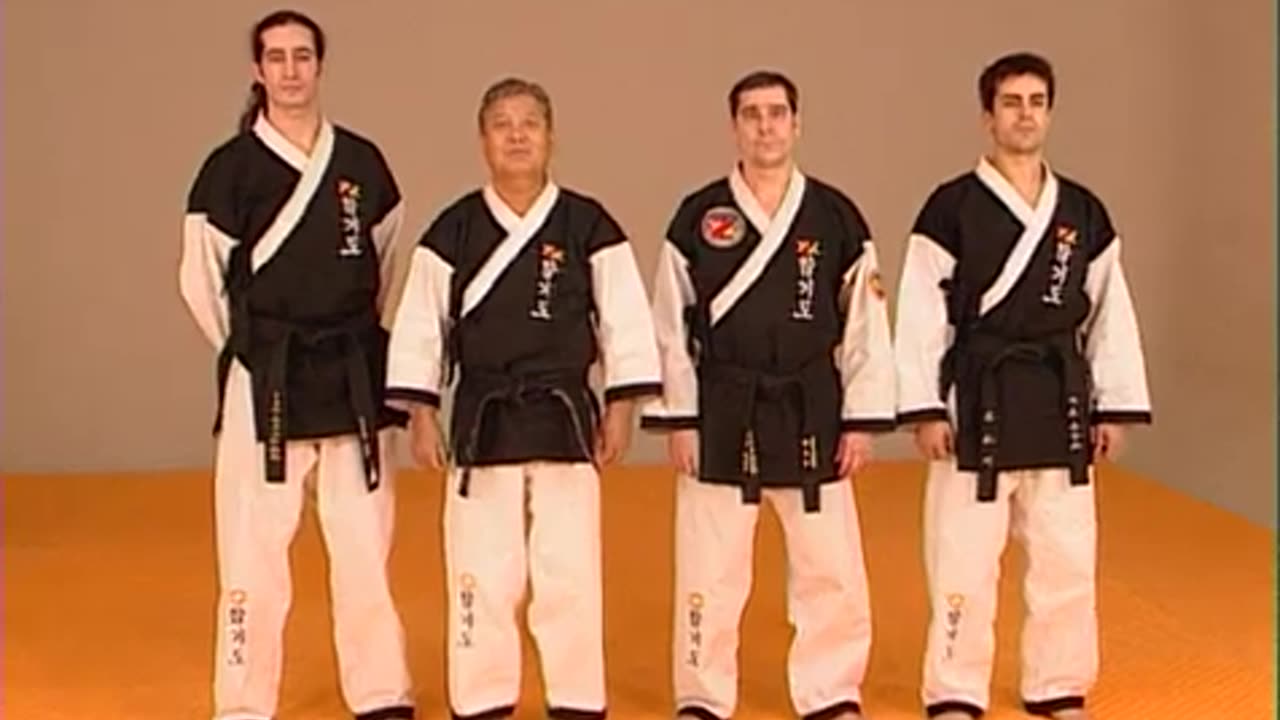 The World Hapkido Federation
