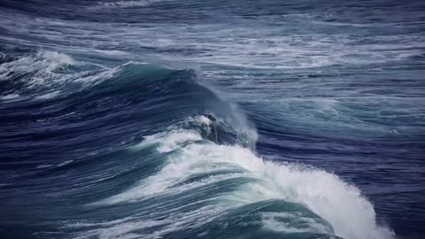 "Tough times never last, but tough people do."