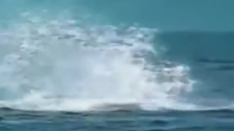 Orca breeches and lands on a kayak