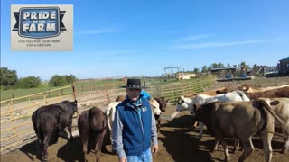 Trent Loos in the Morning - 10/03/2025