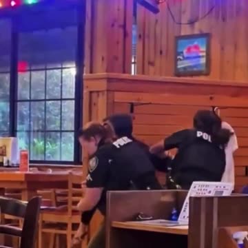 It's a Good Thing There Was a Large Man Around to Help Two Female Cops Subdue This 140 lb Dude