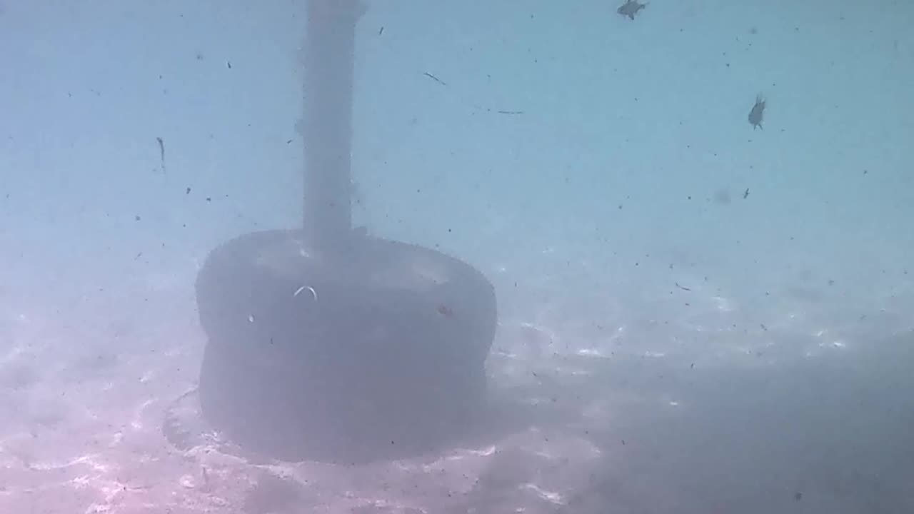 Snorkeling Through Serenity