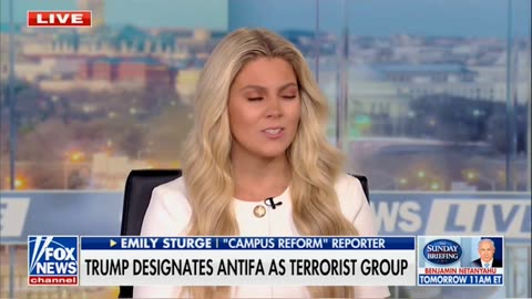 Sturge: political violence is being normalized