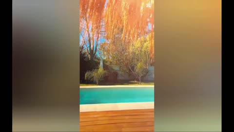 La Red tv streaming