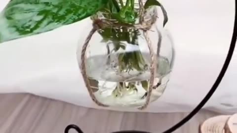 Simple And Creative Plant Holder