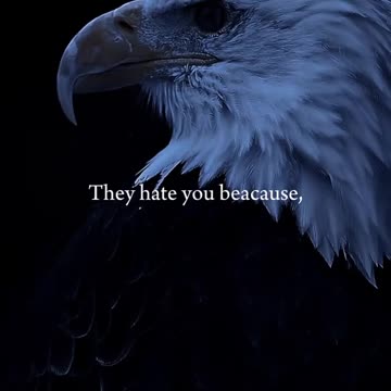 Eagle 🦅 Attitude status for boys