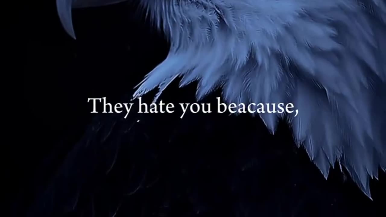 Eagle 🦅 Attitude status for boys