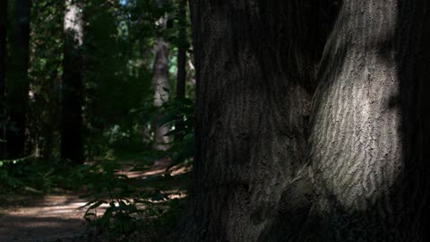 "Quality is never an accident; it is always the result of intelligent effort."