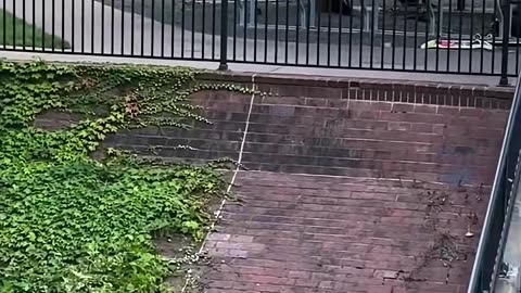 🔥🙌 No Fear! Watch This Insane Trick! | SkateNation