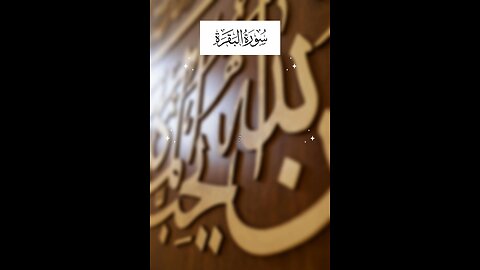 Follow if you love Allah /Surah Al Baqarah Ayat 105 #islam #quran #tafseer #viralvideos