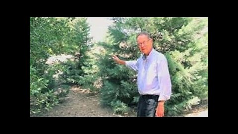Planting the Ellen White Method