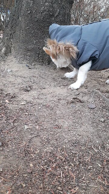 20260125. Jesus Christ Loves Me.